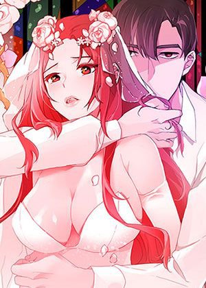 钢之炼金术师 - 兄弟寻找贤者之石